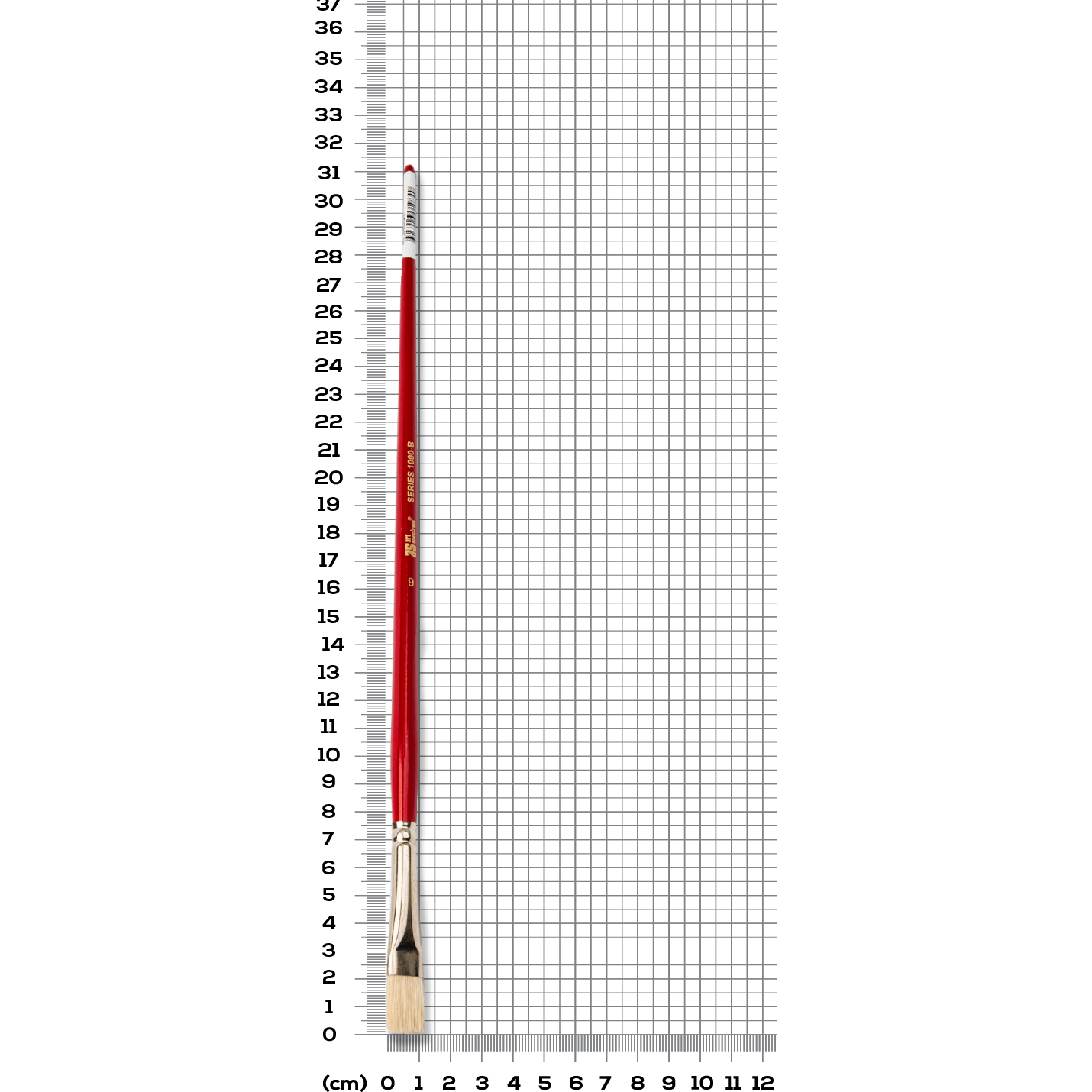 Art Spectrum Brush Series 1000 Interlocked Hog Bristle - Bright Size - 6 - Image 6