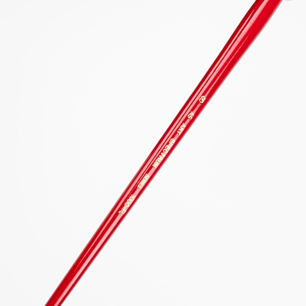 Art Spectrum Brush Series 1000 Interlocked Hog Bristle - Filbert Size - 8 - Image 3