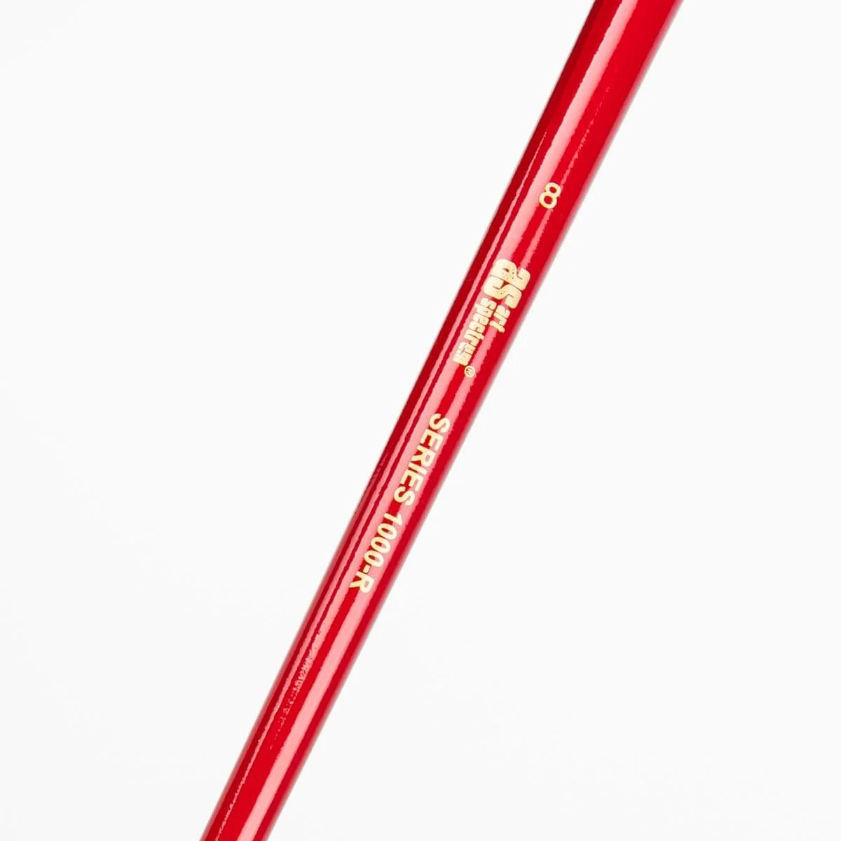 Art Spectrum Brush Series 1000 Interlocked Hog Bristle - Round Size - 8 - Image 3