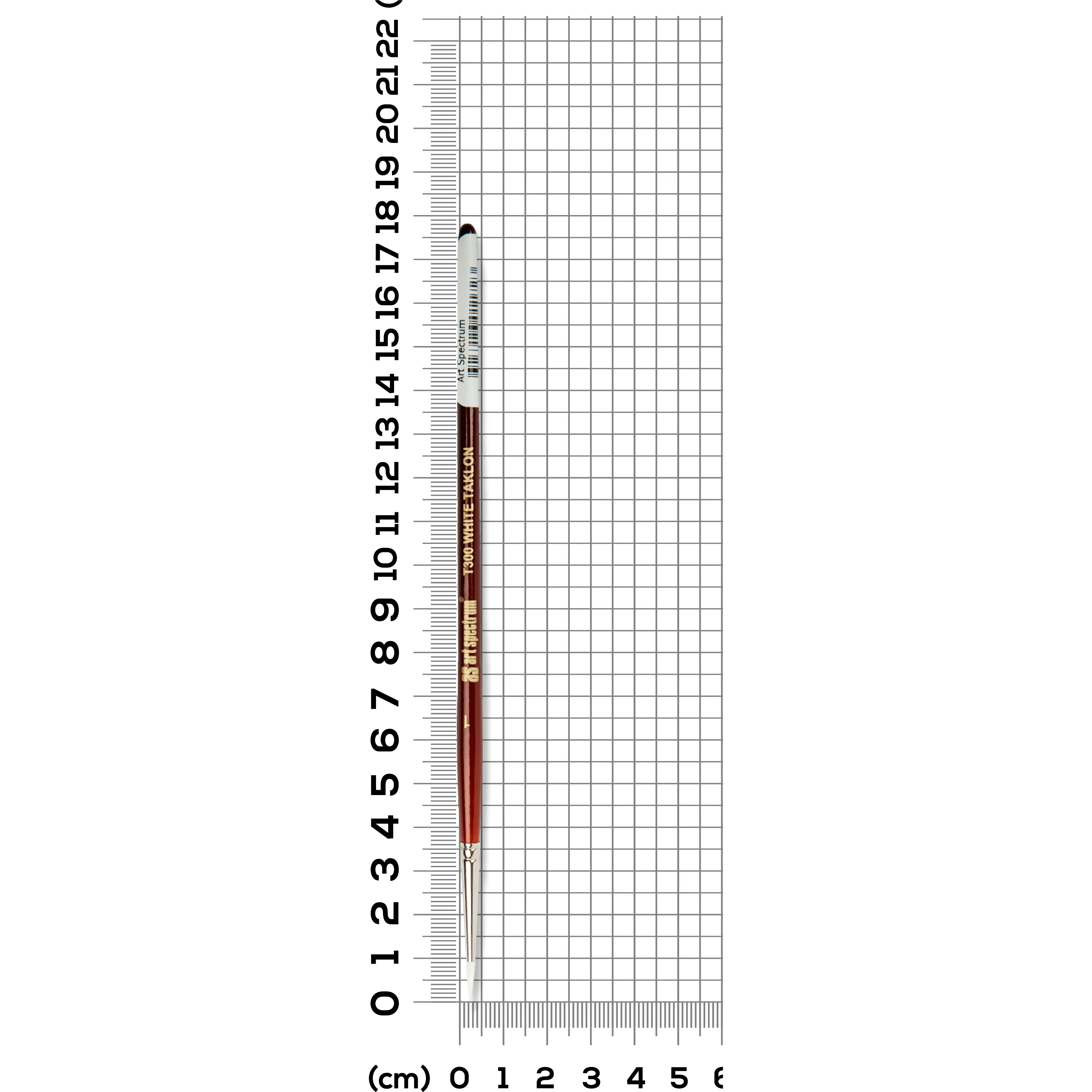 Art Spectrum Brush Series T300 White Taklon - Round Size - 1 - Image 6
