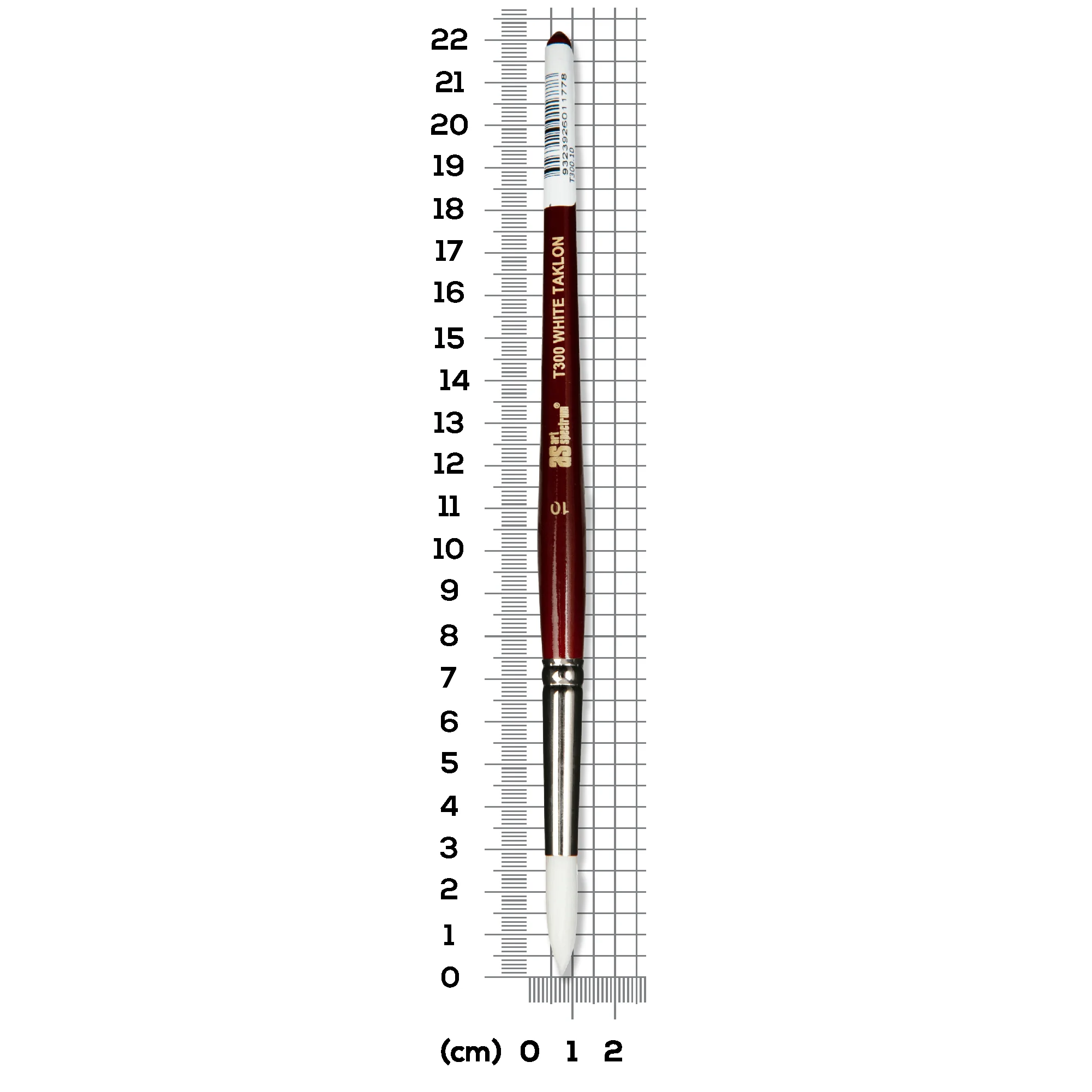 Art Spectrum Brush Series T300 White Taklon - Round Size - 10 - Image 5