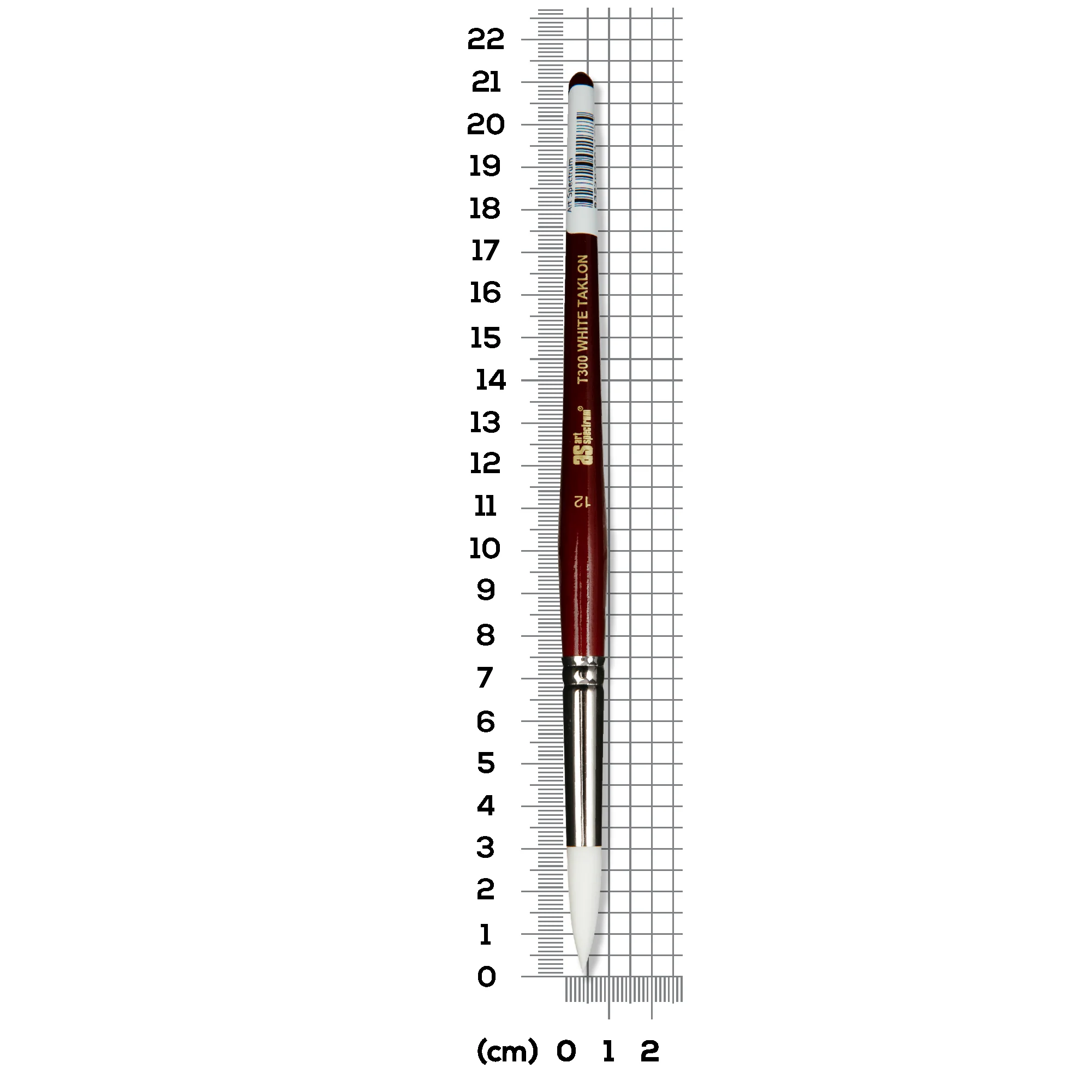 Art Spectrum Brush Series T300 White Taklon - Round Size - 12 - Image 5