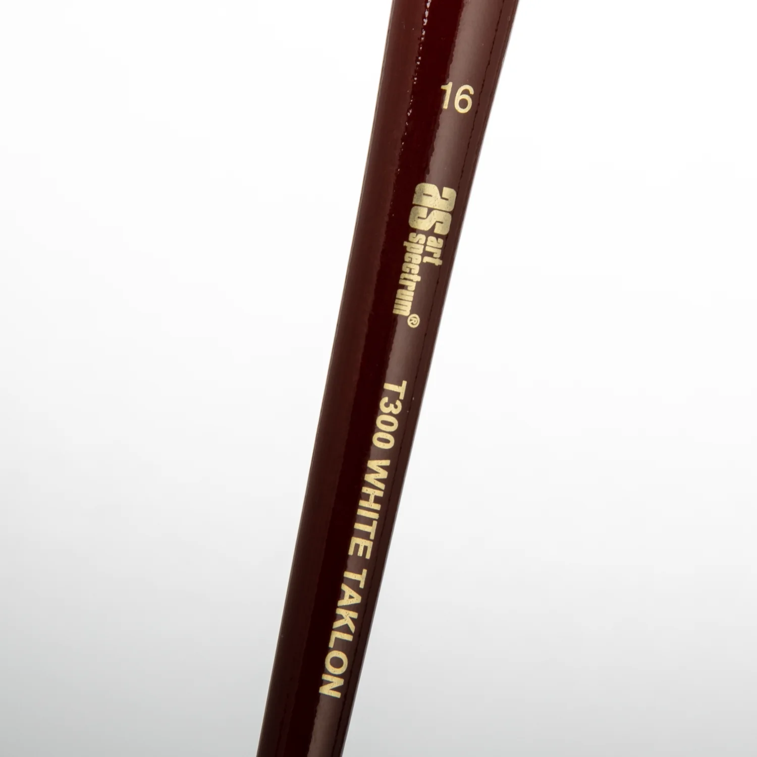 Art Spectrum Brush Series T300 White Taklon - Round Size - 16 - Image 3