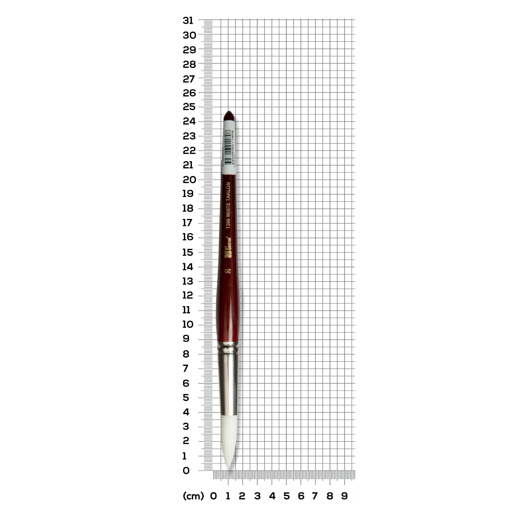 Art Spectrum Brush Series T300 White Taklon - Round Size - 20 - Image 4