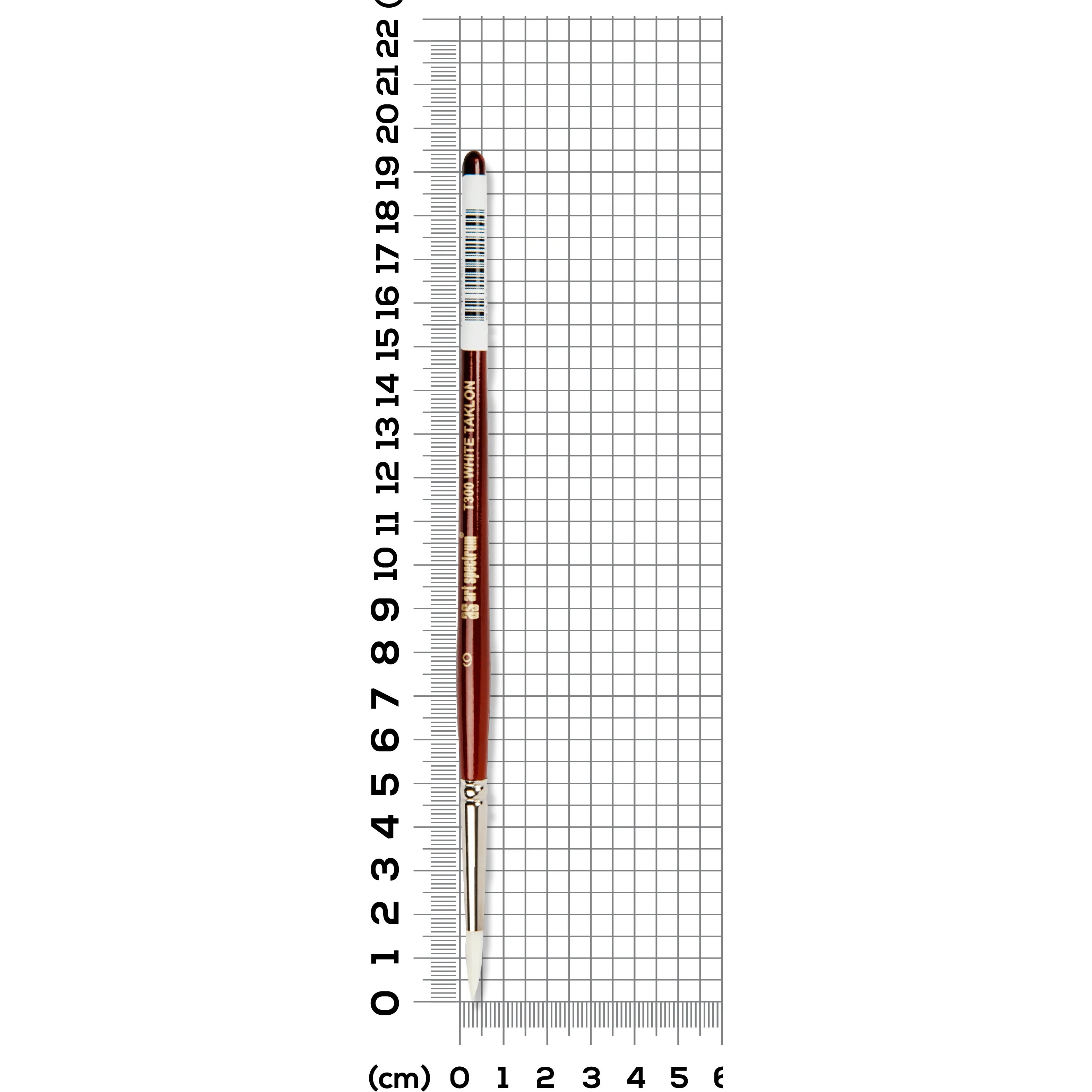 Art Spectrum Brush Series T300 White Taklon - Round Size - 6 - Image 4