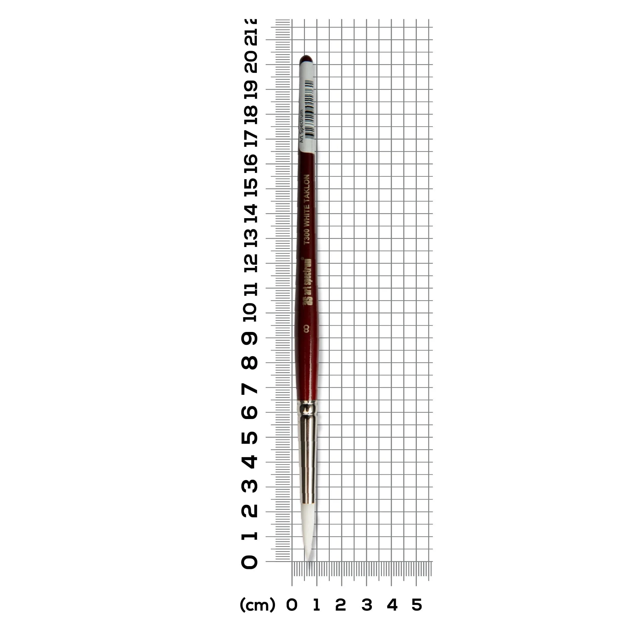 Art Spectrum Brush Series T300 White Taklon - Round Size - 8 - Image 4
