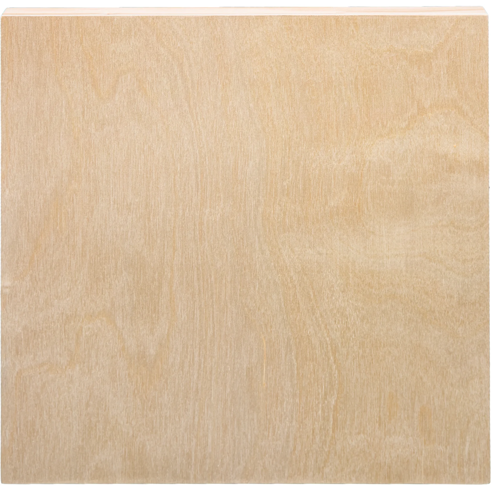 The Art Studio Wooden Panel 30x30cm 20mm Deep