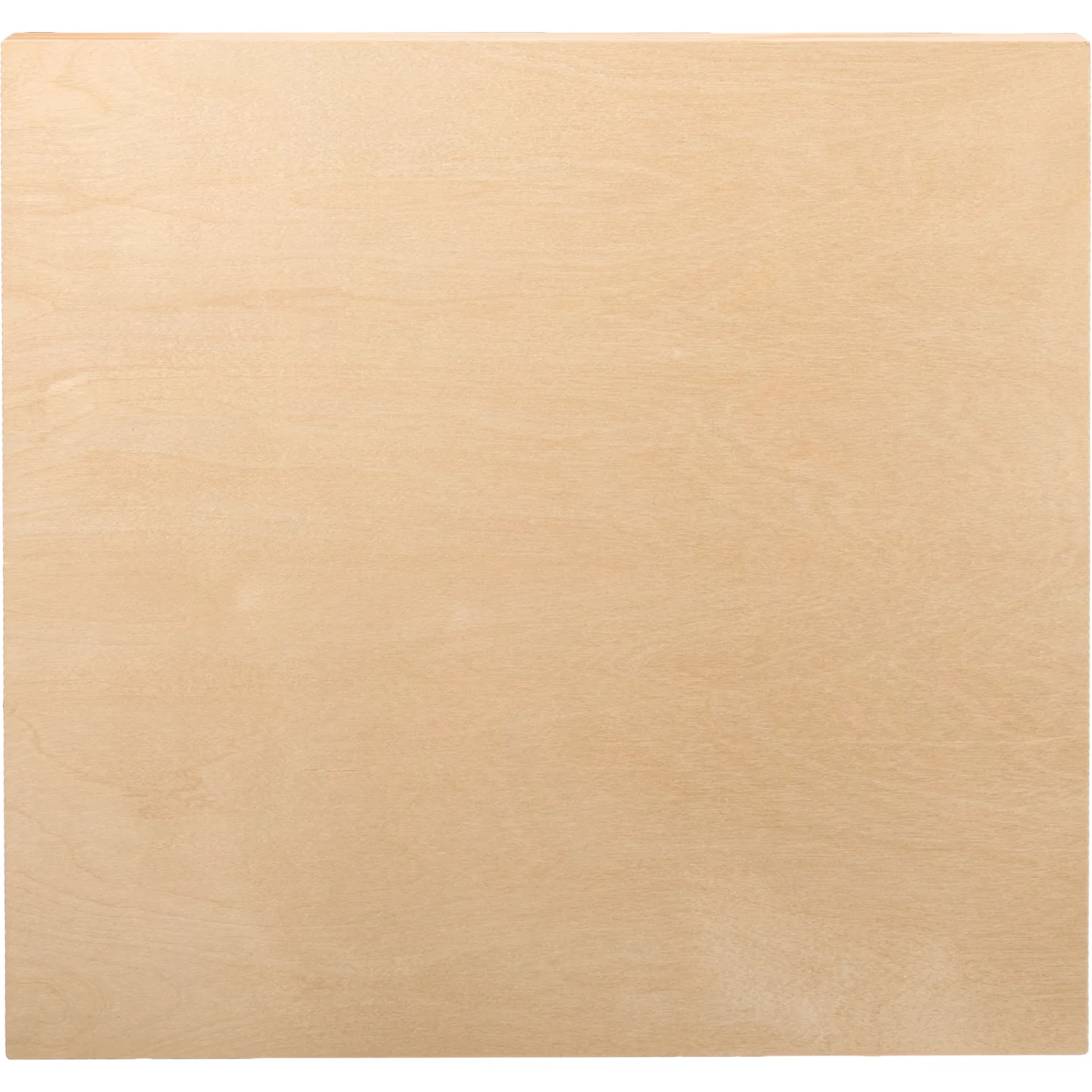 The Art Studio Wooden Panel 40x40cm 20mm Deep