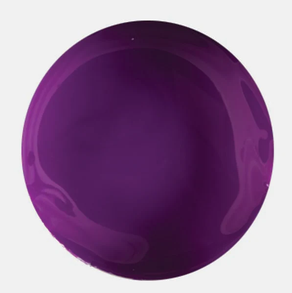 EC Rainbow Paint 250mL Purple - Image 2