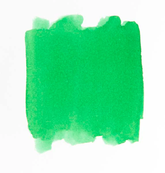 EC Washable Watercolours 250mL Green - Image 4