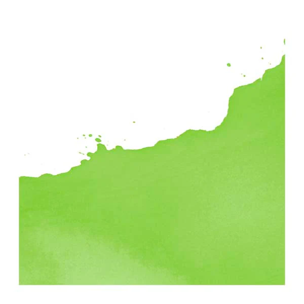 Ecoline Liquid Watercolour Ink, 30ml - 665 - Spring Green - Image 2