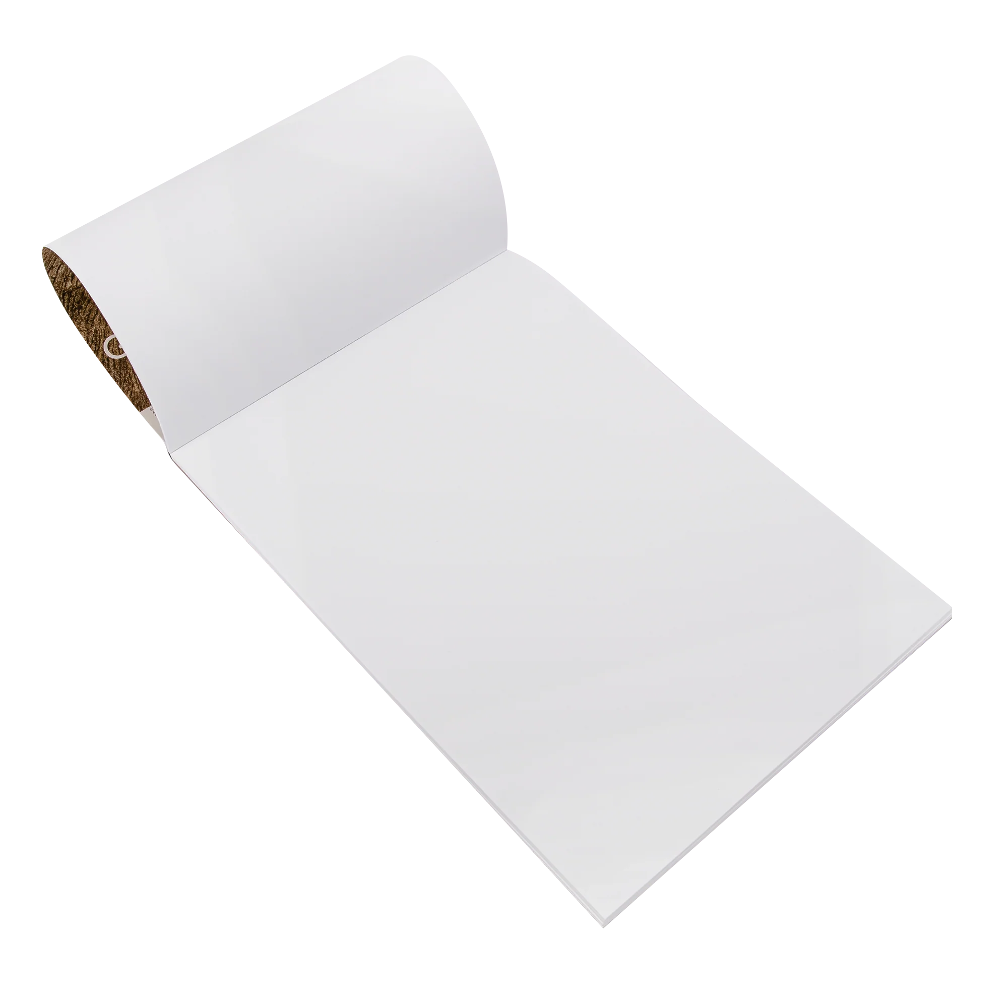 Eraldo di Paolo A4 Genuine Drawing Cartridge Pad 110gsm 25 Sheets - Image 5