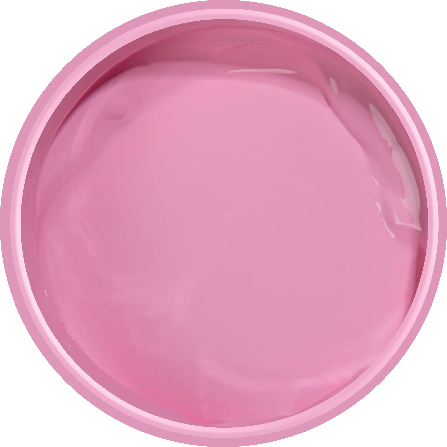 Eraldo di Paolo Acrylic Paint Pastel Guava 500mL - Image 4