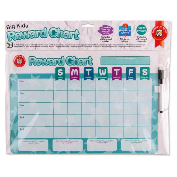 Learning Can Be Fun Big Kids Reward Chart