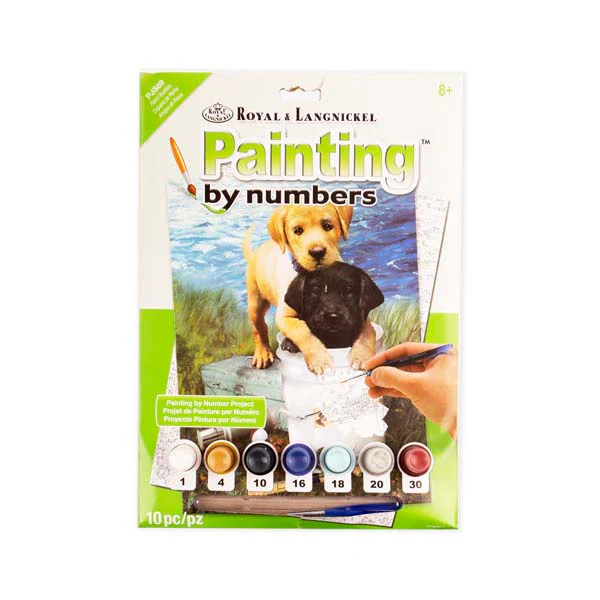 Royal & Langnickel Painting By Numbers Junior Small Fishing Buddies