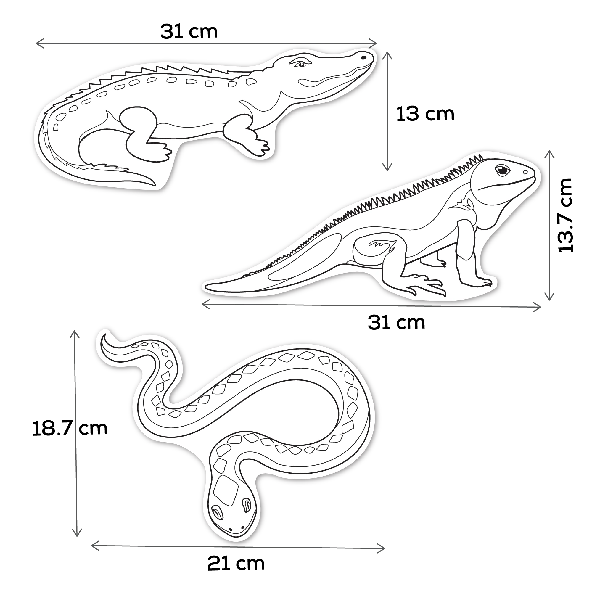 Teacher's Choice Paper Shapes Reptiles (12 Piece) - Image 4