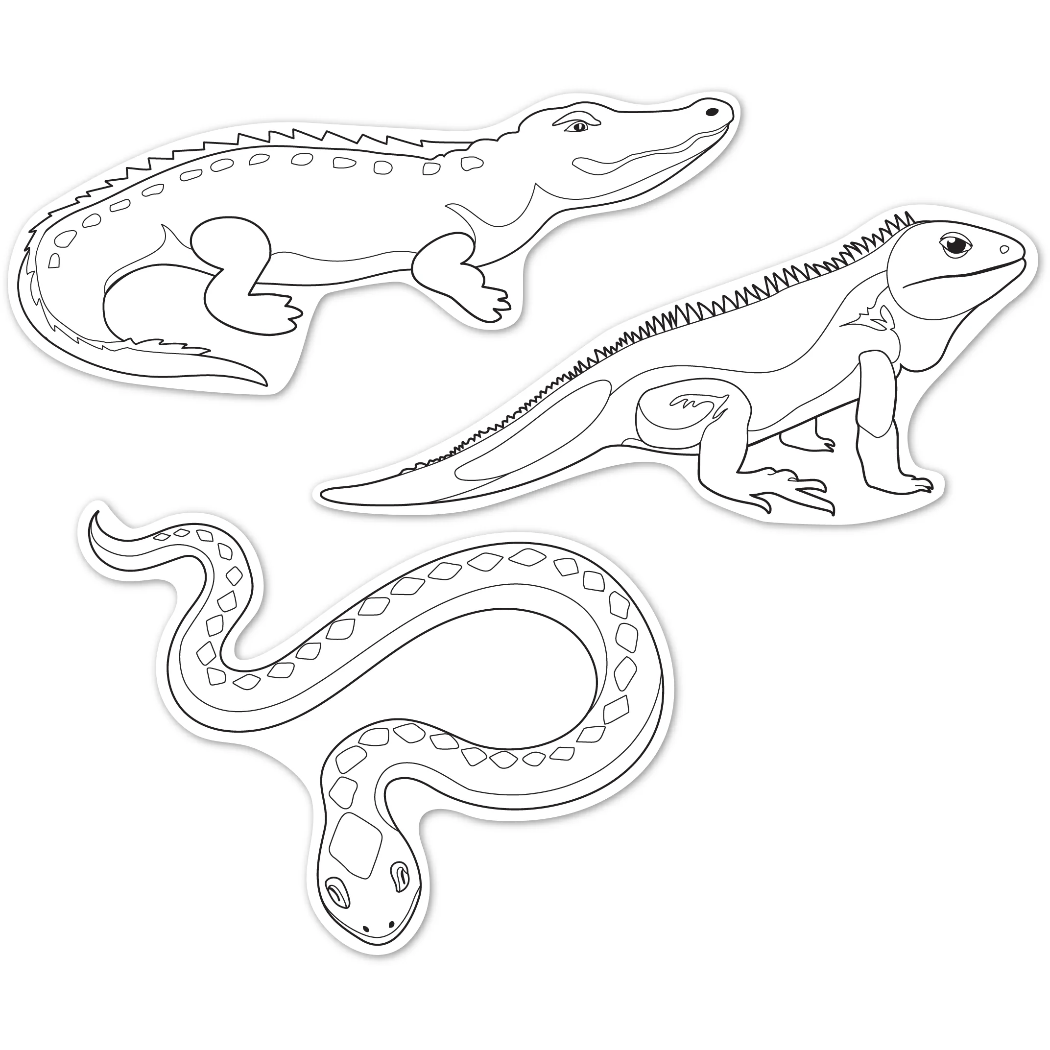 Teacher's Choice Paper Shapes Reptiles (12 Piece) - Image 6