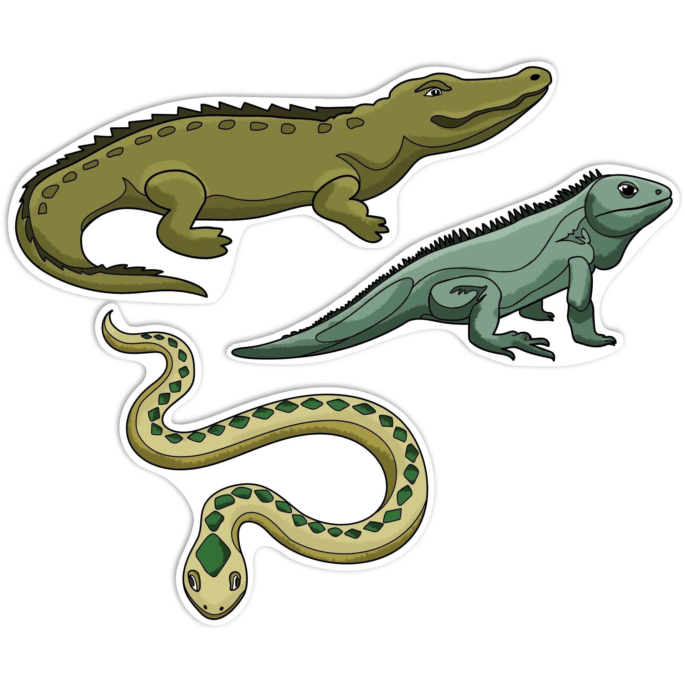 Teacher's Choice Paper Shapes Reptiles (12 Piece) - Image 7